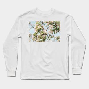 Pastel Pink Apple Blossoms and Blue Sky Long Sleeve T-Shirt